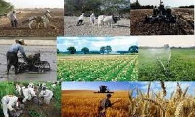 رشد نامتوازن بخش کشاورزی
