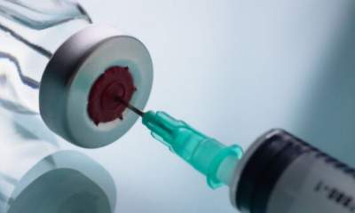 حضور ۵ شتاب‌دهنده برای توسعه واکسن‌های دامی‌