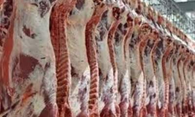 تولید گوشت قرمز ۱۹ درصد افزایش یافت