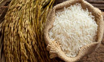 دپوی ۳۰۰ هزار تنی با اعمال ممنوعیت واردات برنج