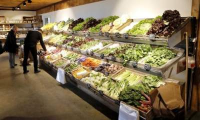 تداوم روند افزایش قیمت جهانی مواد غذایی