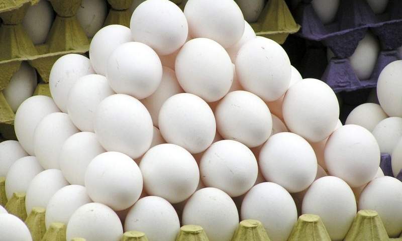 بازار تخم مرغ با سیاست های صادراتی متعادل می شود