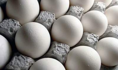 حداکثر قیمت هر کیلوگرم تخم مرغ فله برای مصرف کننده ۱۴ هزار و ۵۰۰ تومان