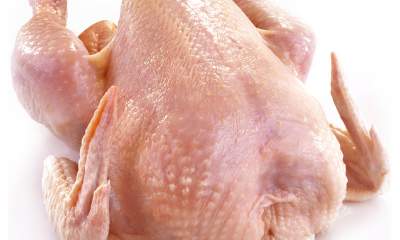 صادرات گوشت مرغ یزد متوقف شد
