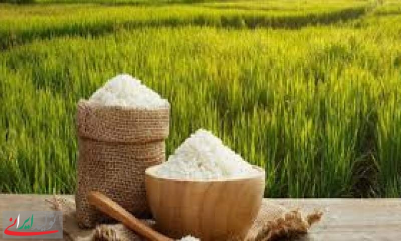 تخصیص ۸۰ میلیون دلار ارز برای برنج