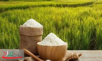 تخصیص ۸۰ میلیون دلار ارز برای برنج