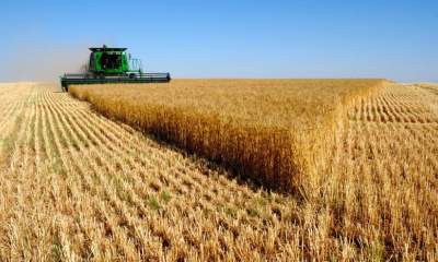 رشد 13 درصدی خرید گندم در استان مرکزی