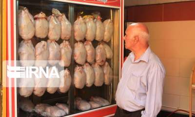 مدیرعامل اتحادیه سراسری مرغداران گوشتی اعلام کرد: افزایش قیمت گوشت مرغ به دلیل کاهش جوجه‌ریزی