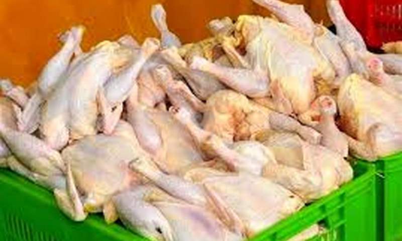 ستاد تنظیم بازار: نابسامانی قیمت مرغ به زودی حل میشود
