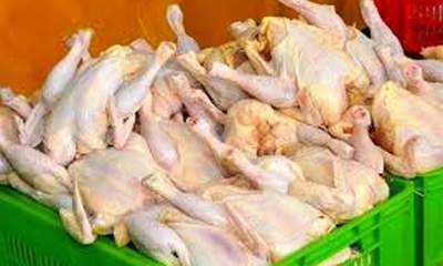 ستاد تنظیم بازار: نابسامانی قیمت مرغ به زودی حل میشود