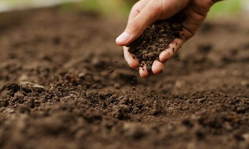 متوسط فرسایش خاک در استان سمنان ۱۵ تن در هکتار است