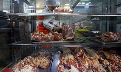 وجود ۶۵ هزار تُن گوشت قرمز مازاد در بازار/ قیمت منطقی گوشت گوساله زیر ۱۰۰ هزار تومان است