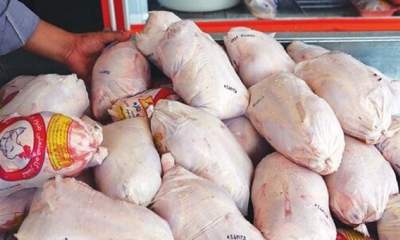 چرا قیمت مرغ دوباره افزایش یافت؟