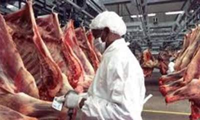 حلقه‌های مفقوده زنجیره تولید تا مصرف گوشت/ دولت توان کنترل بازار عید و رمضان را دارد؟