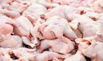 امروز ۶۷۰۰ تن گوشت مرغ گرم به بازار عرضه شد