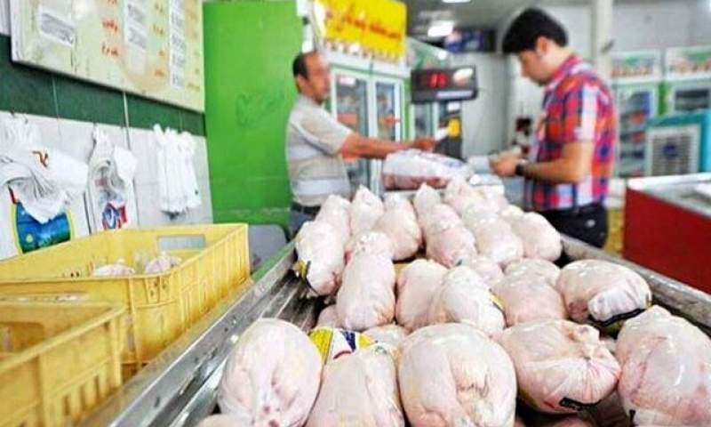 تدوام نابسامانی در بازار مرغ؛ همه نگاه‌ها به وزارت کشاورزی دوخته شده
