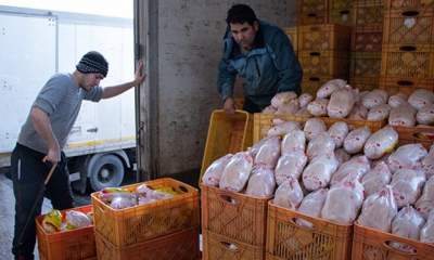 واردات 50 هزار تن گوشت مرغ به گمرک ابلاغ شد