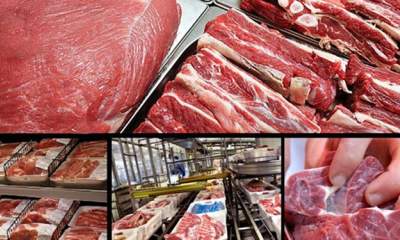 تب قیمت محصولات پروتئینی در آستانه ماه رمضان/گوشت گران شد