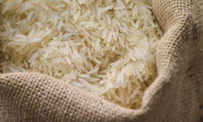 تبانی برنج‌فروشان در دپو و افزایش قیمت