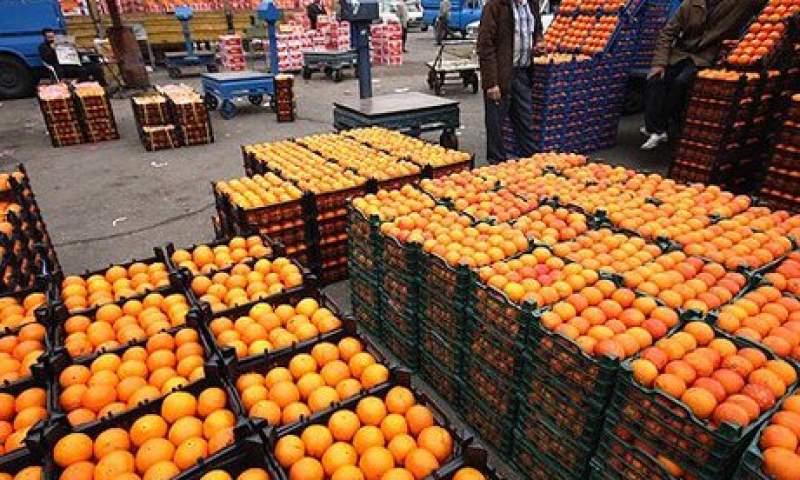 واکنش اسماعیلی به فاسد شدن ۳۰ هزار تنی پرتقال‌های شب عید