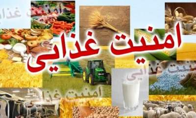 ماه رمضان فرصت اصلاح فرهنگ غذایی/5 راهکار تامین امنیت غذایی در جهان