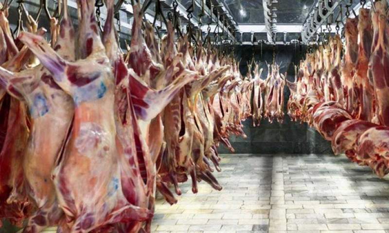 افزایش 49 درصدی عرضه گوشت قرمز