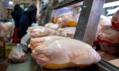 جزئیات واردات مرغ/ چقدر با امتیاز ارز ۴۲۰۰ وارد شد؟