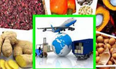 راهکار افزایش امنیت غذایی کشور با کنترل بیماری‌ها