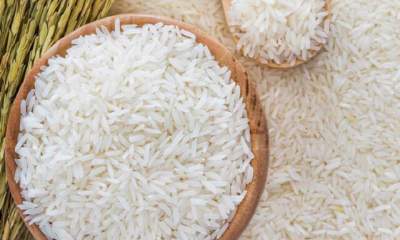 افزایش قیمت برنج ایرانی تا ۴۶ هزار و ۵۰۰ تومان