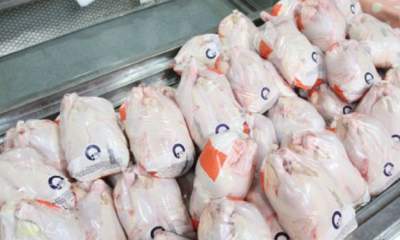 کاهش 7 هزار تومانی قیمت مرغ/2 شرط برای تامین مرغ در ماه‌های آینده