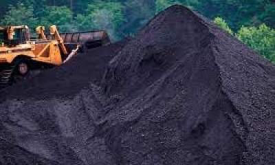 تولید کنسانتره زغال سنگ ایمیدرو ۸ درصد افزایش یافت