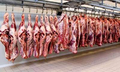افزایش عرضه گوشت قرمز در شهریور ۱۴۰۰