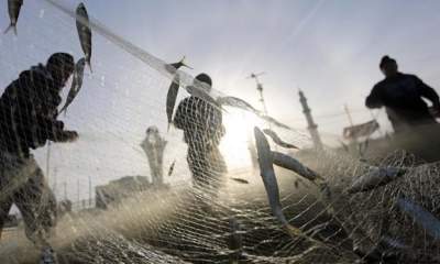 زنان ماهی‌گیر برای اولین بار مجوز می گیرند
