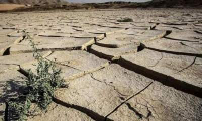 وزیر نیرو: با بی‌سابقه‌ترین خشکسالی در ۵۲ سال اخیر مواجهیم/ آب و کم آبی باید با عدالت تقسیم شود
