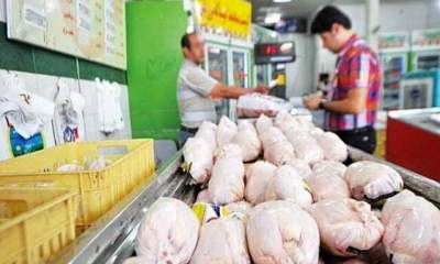 علت کمبود مرغ در بازار اهواز چیست؟