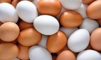قیمت انواع تخم مرغ در بازار+جدول