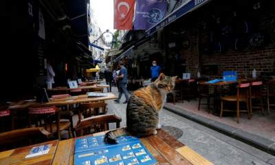 افزایش قیمت رستوران‌های ترکیه از سال آینده