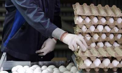 سودجویی دلالان در بازار تخم مرغ در سایه نبود نظارت