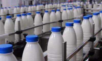 سرانه مصرف شیر 86 لیتر‌/ ثروتمندان 6 برابر بیشتر شیر می‌خورند