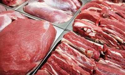 گرانی گوشت ربطی به صادرات دام ندارد