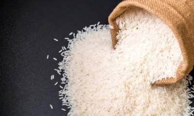 اعظمی: دستوری کردن قیمت برنج، قاچاق برنج را افزایش خواهد داد