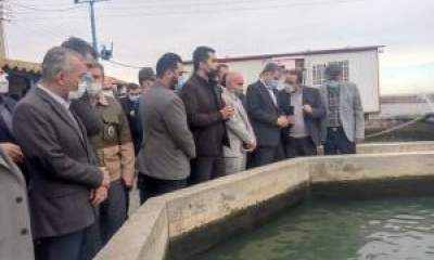 بازدید وزیر جهاد کشاورزی از پروژه پرورش ماهیان خاویاری" بندرگز"