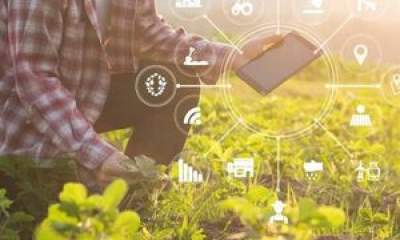 تحول بخش کشاورزی با فناوری‌های دیجیتال