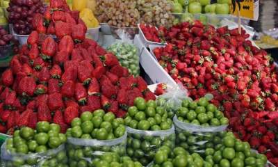 میوه‌های نوبرانه‌ بهار به بازار آمدند / کاهش ۱۰ درصدی قیمت گوجه