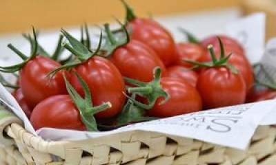 علت افزایش قیمت گوجه فرنگی و سیب زمینی چیست؟