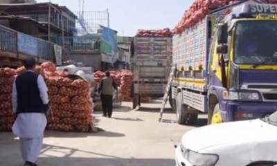 طالبان صادرات پیاز به خارج از افغانستان را ممنوع کرد