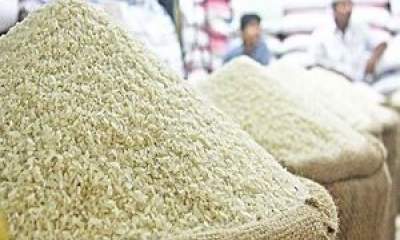 قیمت روز انواع برنج در بازار +جدول