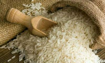 قیمت جهانی برنج با گندم و ذرت همراه نشد