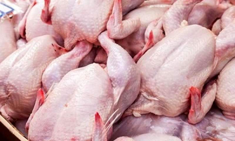 احتمال افزایش قیمت مرغ با کاهش تولید!