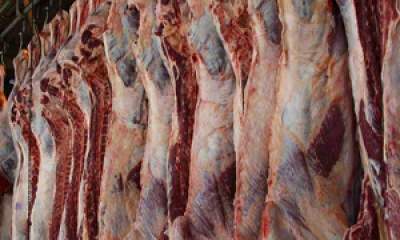 قیمت گوشت در ایام تاسوعا و عاشورای حسینی به 60 هزار تن می رسد+عکس